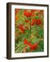 Skunkbush Sumac, Routt National Forest, Colorado, USA-Rob Tilley-Framed Photographic Print