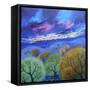 Sky 1, 2023, (Acrylics on Canvas)-Lisa Graa Jensen-Framed Stretched Canvas