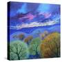 Sky 1, 2023, (Acrylics on Canvas)-Lisa Graa Jensen-Stretched Canvas