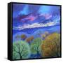 Sky 1, 2023, (Acrylics on Canvas)-Lisa Graa Jensen-Framed Stretched Canvas