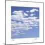 Sky 45-Ken Bremer-Mounted Limited Edition