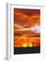 Sky a Fire I-Douglas Taylor-Framed Photographic Print