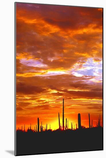 Sky a Fire I-Douglas Taylor-Mounted Photographic Print