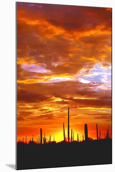 Sky a Fire I-Douglas Taylor-Mounted Photographic Print