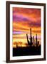 Sky a Fire II-Douglas Taylor-Framed Premium Photographic Print