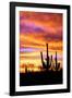 Sky a Fire II-Douglas Taylor-Framed Premium Photographic Print