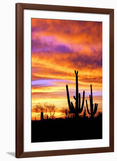 Sky a Fire II-Douglas Taylor-Framed Photographic Print