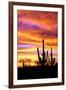 Sky a Fire II-Douglas Taylor-Framed Photographic Print