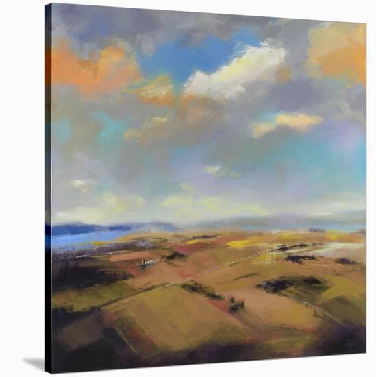 Sky and Land I-Robert Seguin-Stretched Canvas