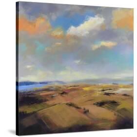 Sky and Land I-Robert Seguin-Stretched Canvas
