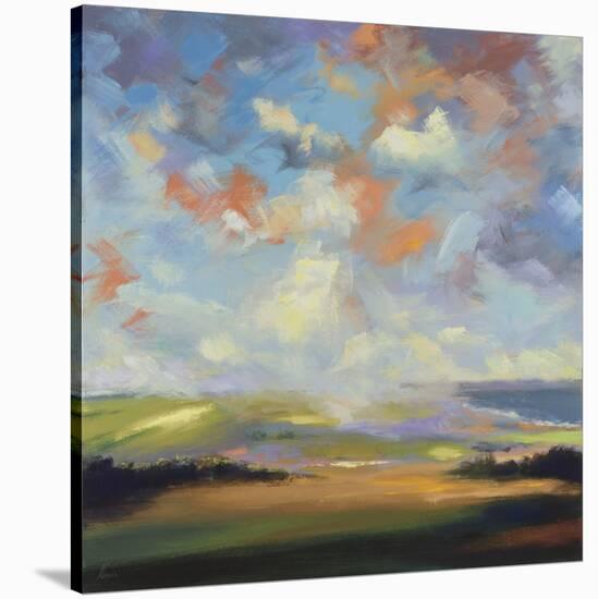 Sky and Land VI-Robert Seguin-Stretched Canvas