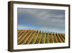 Sky and Vine-Vincent James-Framed Photographic Print