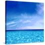 Sky and Water-Charlie Carter-Stretched Canvas