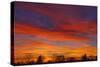 Sky at sunset, Winnipeg, Manitoba, Canada.-Mike Grandmaison-Stretched Canvas