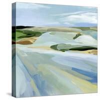 Sky Blue Fields II-Annie Warren-Stretched Canvas