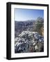 Sky Bridge Arch, Red River Gorge Geological Area, Daniel Boone National Forest, Kentucky, USA-Adam Jones-Framed Photographic Print