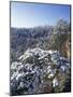 Sky Bridge Arch, Red River Gorge Geological Area, Daniel Boone National Forest, Kentucky, USA-Adam Jones-Mounted Photographic Print