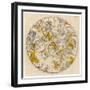 Sky Chart Showing the Signs of the Zodiac and Other Celestial Features-null-Framed Photographic Print