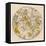 Sky Chart Showing the Signs of the Zodiac and Other Celestial Features-null-Framed Stretched Canvas