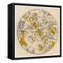 Sky Chart Showing the Signs of the Zodiac and Other Celestial Features-null-Framed Stretched Canvas