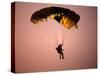 Sky Diver Floating in the Air-Paul Sutton-Stretched Canvas