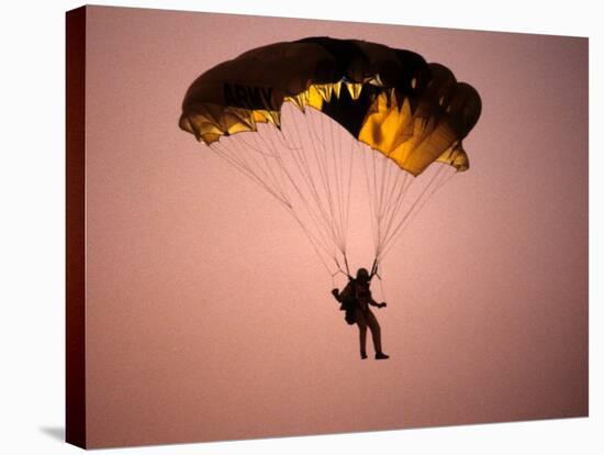 Sky Diver Floating in the Air-Paul Sutton-Stretched Canvas