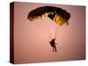 Sky Diver Floating in the Air-Paul Sutton-Stretched Canvas