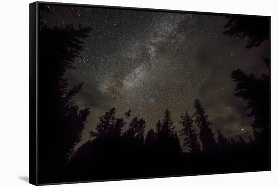 Sky full of stars in the forest in Glacier National Park, Montana, USA-Chuck Haney-Framed Stretched Canvas