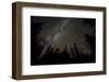 Sky full of stars in the forest in Glacier National Park, Montana, USA-Chuck Haney-Framed Photographic Print