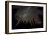 Sky full of stars in the forest in Glacier National Park, Montana, USA-Chuck Haney-Framed Photographic Print