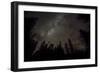 Sky full of stars in the forest in Glacier National Park, Montana, USA-Chuck Haney-Framed Photographic Print