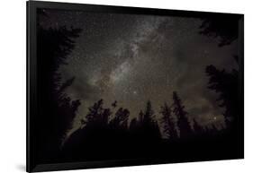 Sky full of stars in the forest in Glacier National Park, Montana, USA-Chuck Haney-Framed Photographic Print