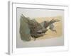 Sky Hawk-Benton Spruance-Framed Art Print