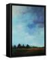 Sky High-Tim O'toole-Framed Stretched Canvas