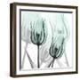 Sky Infused Duo-Albert Koetsier-Framed Photographic Print