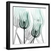 Sky Infused Duo-Albert Koetsier-Framed Photographic Print