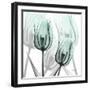 Sky Infused Duo-Albert Koetsier-Framed Photographic Print