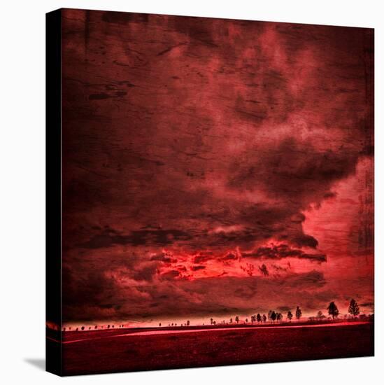 Sky Is Crying-Philippe Sainte-Laudy-Stretched Canvas