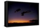 Canvas Black