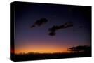 Stretched Canvas