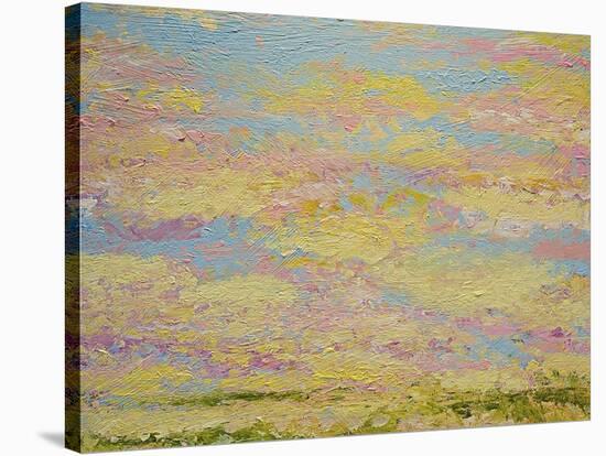 Sky Light-Allan Friedlander-Stretched Canvas