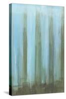 Sky Lights II-Jennifer Goldberger-Stretched Canvas