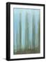 Sky Lights II-Jennifer Goldberger-Framed Art Print