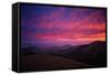 Sky On Fire at Petaluma, Sonoma County-Vincent James-Framed Stretched Canvas