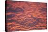 Sky over the Town-Guido Cozzi-Stretched Canvas