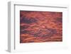 Sky over the Town-Guido Cozzi-Framed Photographic Print