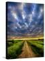 Sky Path-Adrian Campfield-Stretched Canvas