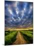 Sky Path-Adrian Campfield-Mounted Photographic Print