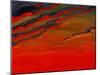 Sky Portrait of a Sunset-John Newcomb-Mounted Giclee Print
