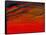 Sky Portrait of a Sunset-John Newcomb-Framed Stretched Canvas